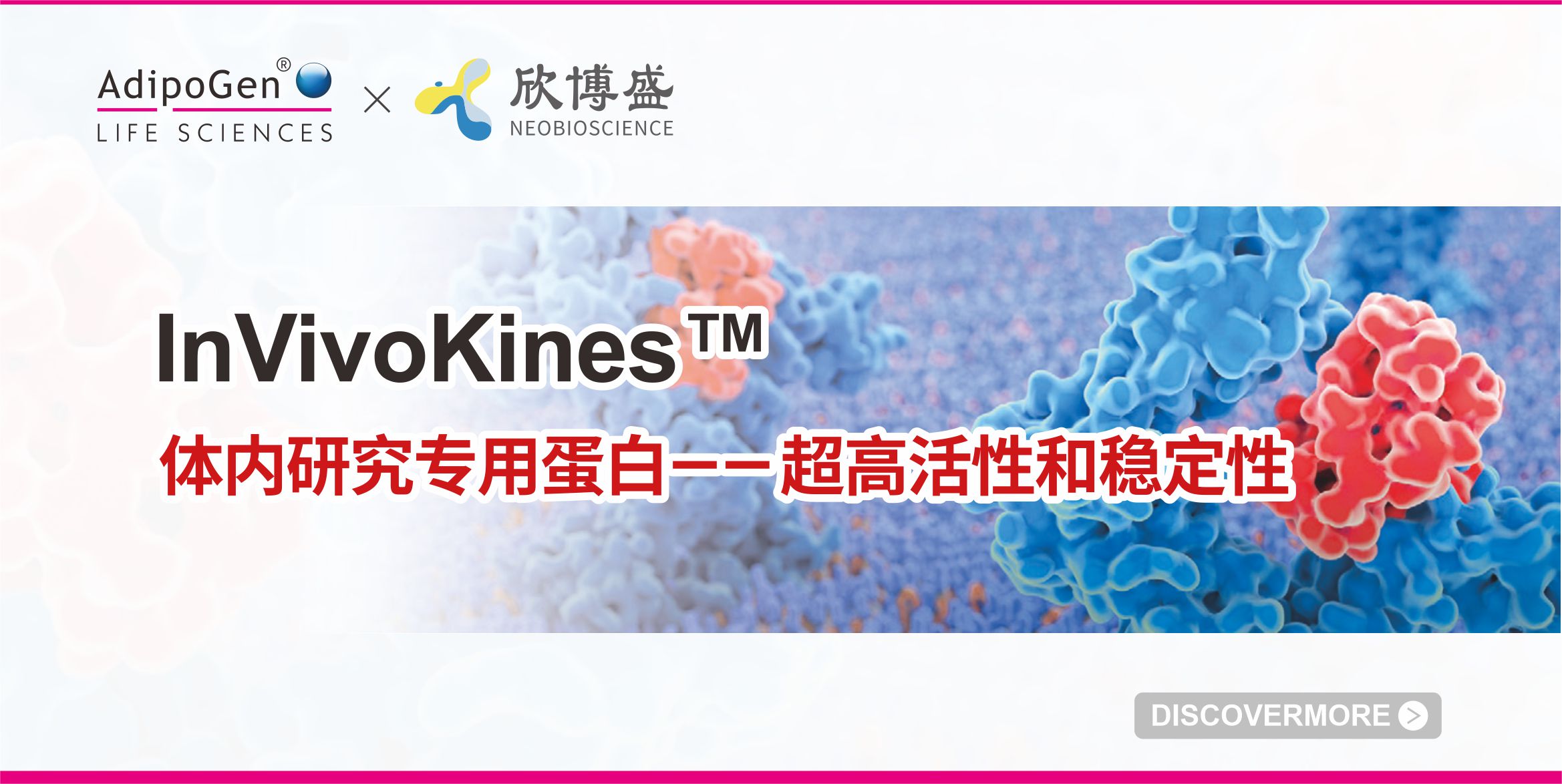Flyer_InVivoKines_2024-web