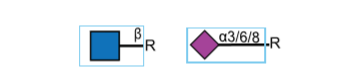 General Binding Motif.png