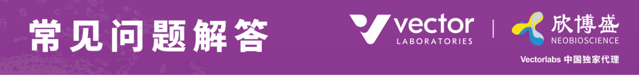 VectaPlex常见问题解答 VectaPlex常见问题解答