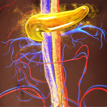 BioXCell最新文献.png