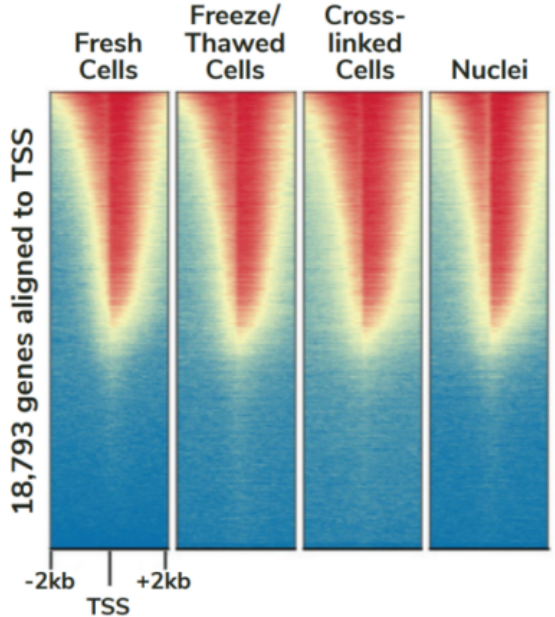 FIGURE 3.png