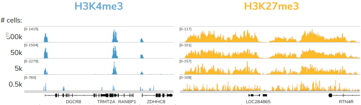 FIGURE 4.png