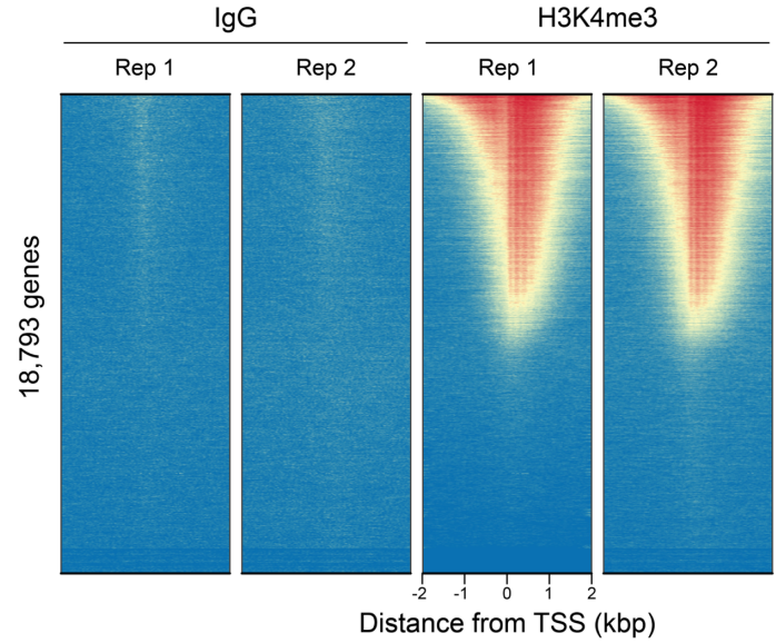 genome-wide.png