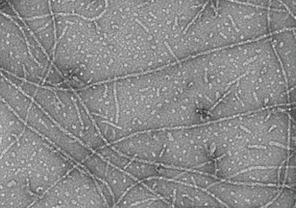 17434016518532187.png 17434016518532187.png