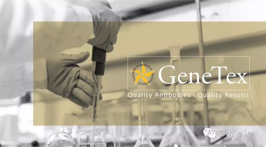 GeneTex品牌介绍.jpg