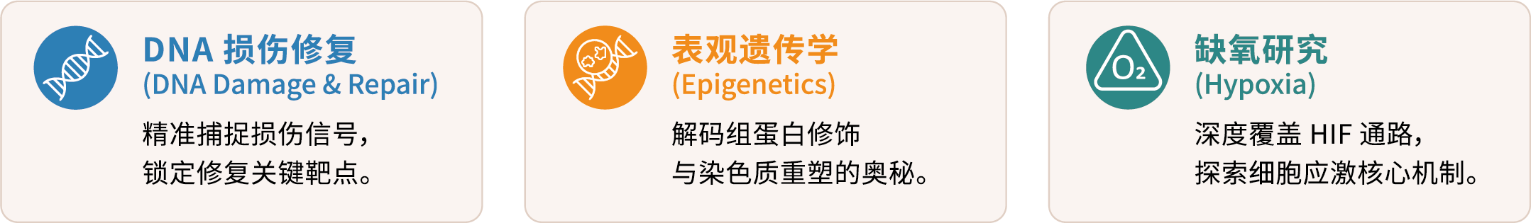 6月-8月促销 带logo 1000份.png 6月-8月促销 带logo 1000份.png